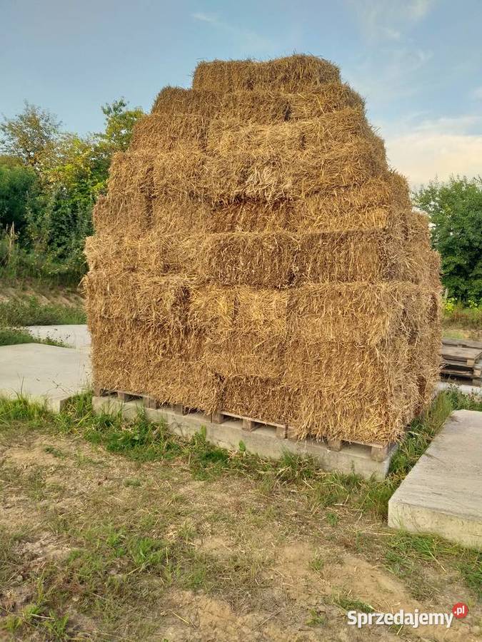 Sprzedam słome pszeną Kraczkowa