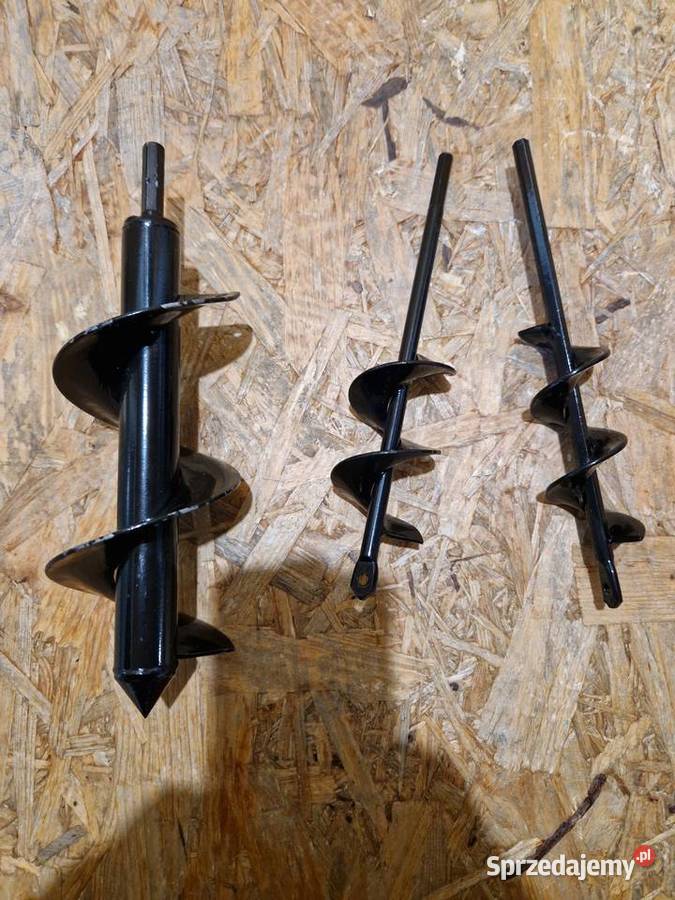 ŚWIDER OGRODOWY WIERTNICA GLEBOWA WIERTŁO ZIEMI Głogowa