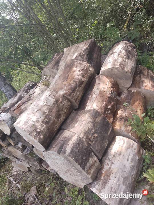 Tanie drewno opałowekominkowe z transportem Gidle sprzedam