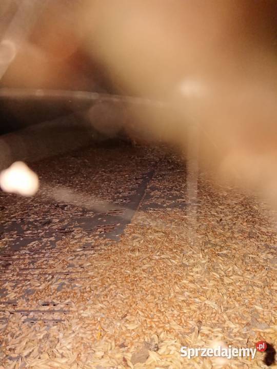 Silos bin 20ton Dąbrowa