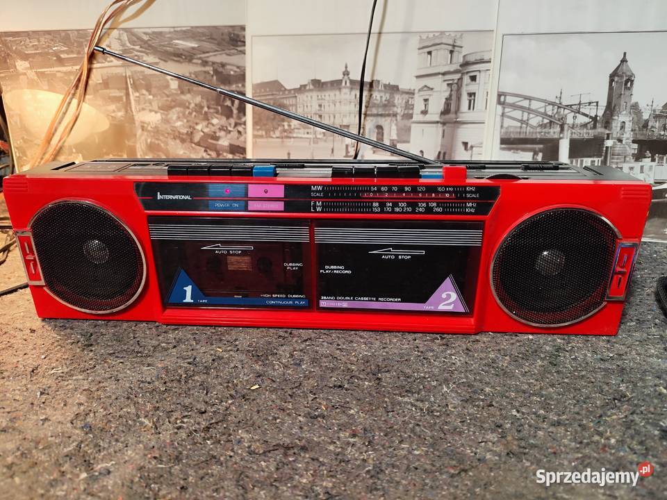 archaiczny jamnik International AK21