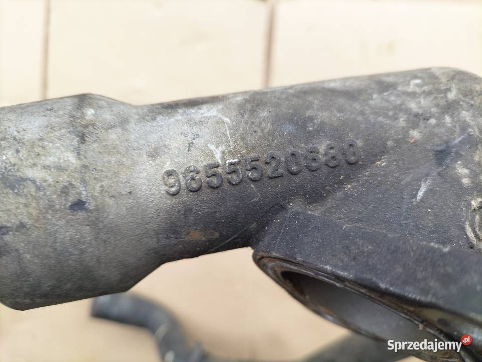 CTROEN PEUGEOT FIAT 20 HDI 9655520680 RURA WĄŻ lubelskie Kamień-Kolonia sprzedam