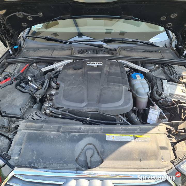 Audi A4 B9Quattro SportLED TYŁ CD łódzkie Radomsko