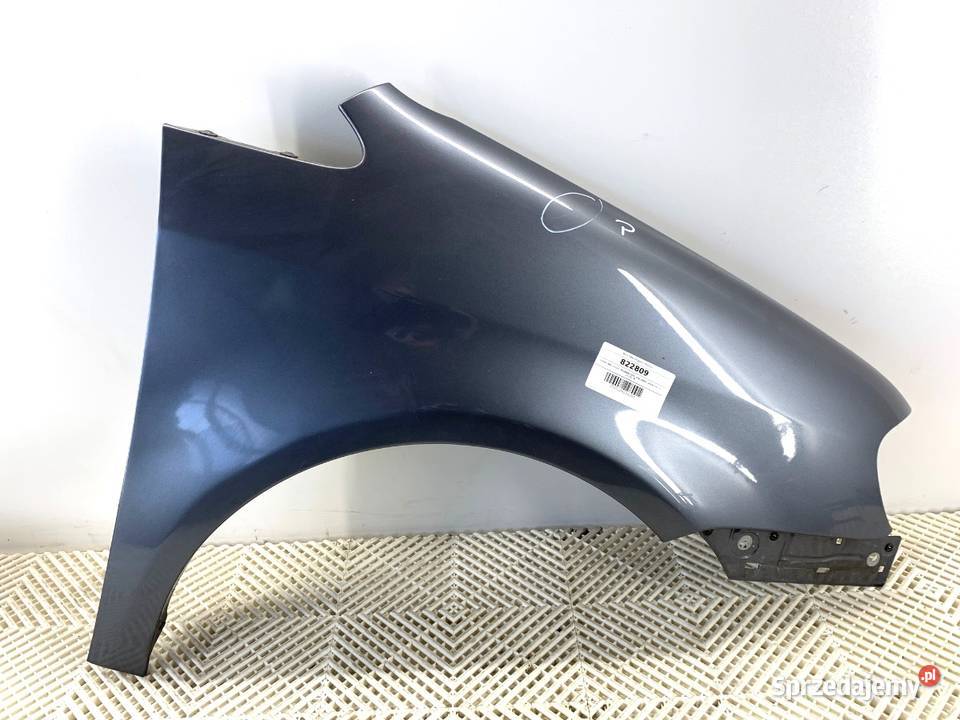 BŁOTNIK PRAWY PRZÓD VW TOURAN Minivan 0310 podkarpackie