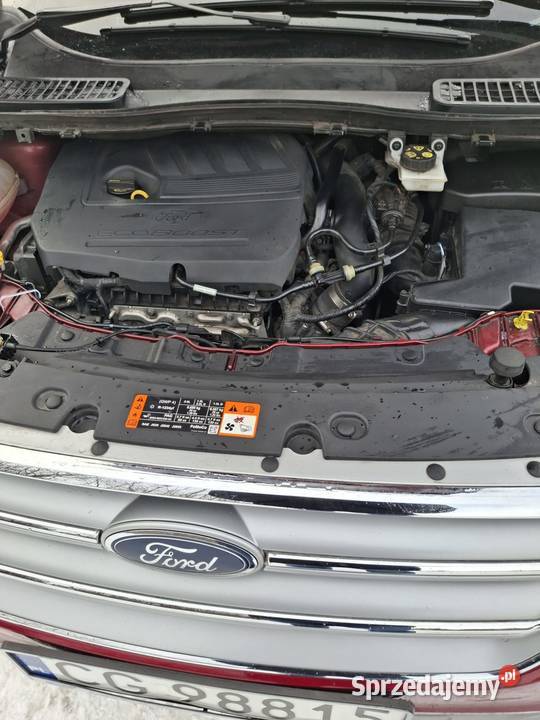 Elegancki Ford Kuga z panoramiczny dachem benzyna