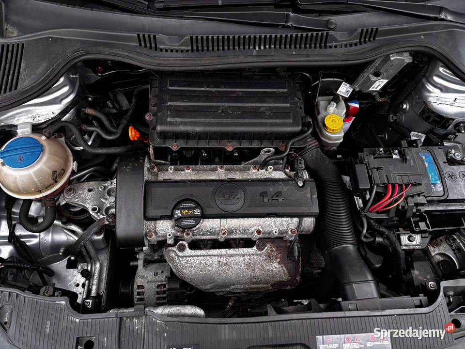 Seat Ibiza IV 14 MPI benzyna Biała Podlaska