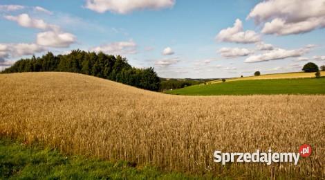 działkę budowlaną z widokiem na 3 jeziora sprzedam