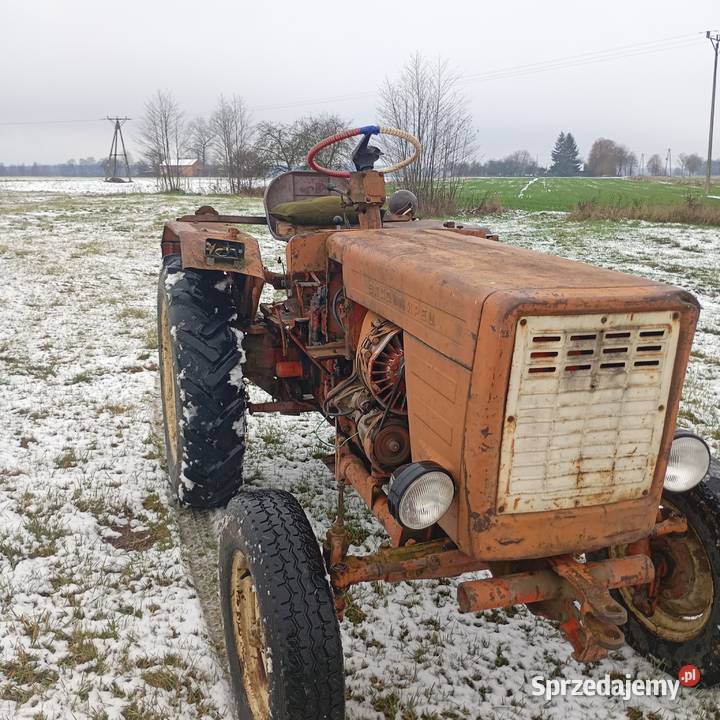 Sprzedam t25 Gęś sprzedam