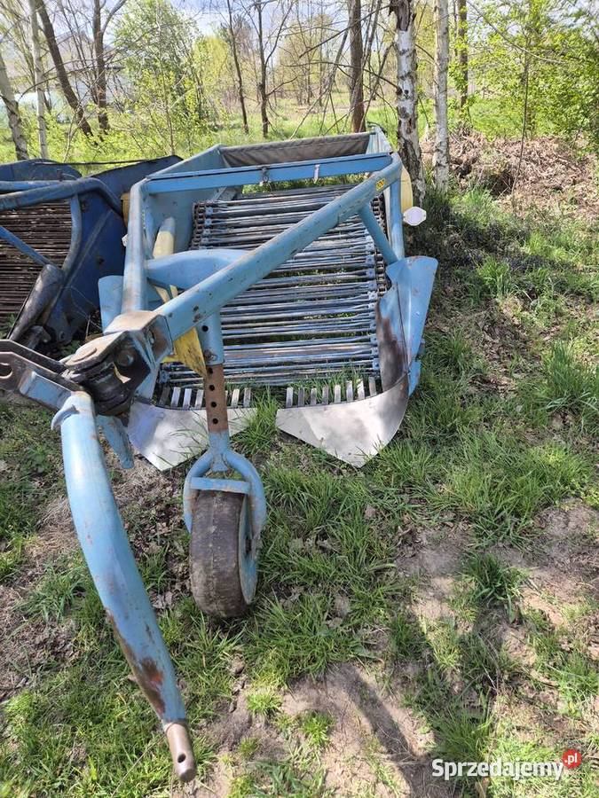 Kopaczka elewatorowa do ziemniaków Bucze