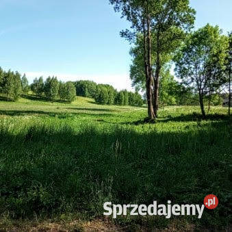 Działka JEZIOREM dostęp pod dom 3050m2 warmińsko-mazurskie Sorkwity