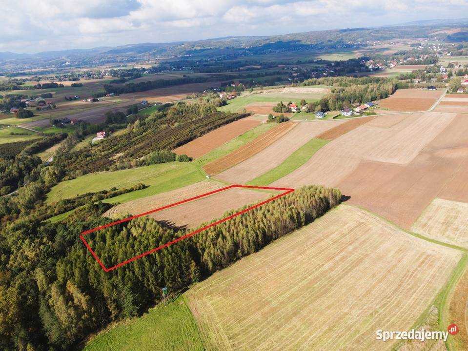 Dziaka rolna 110 ar Oparówka