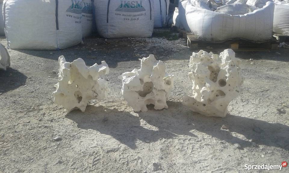 Wapień filipiński 6 Wrocław