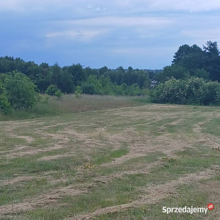 Działka z WZ 1000 m Częstochowa Stradom natura