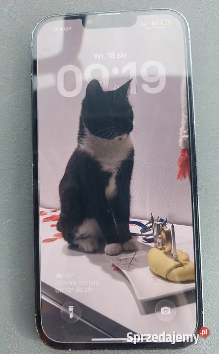 iPhone 13 Pro 100 bateria 256 gb Świdnica sprzedam