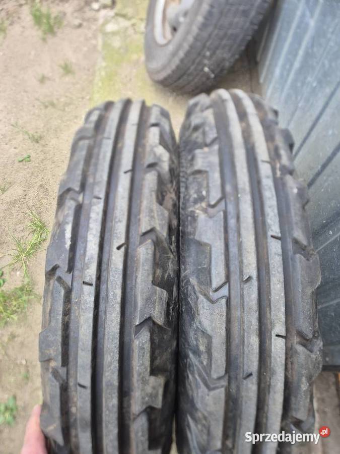 Kola ursus piasty Murzynówko