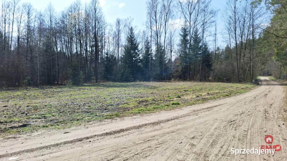 Działka na sprzedaż Solniczki 1109m2 44m