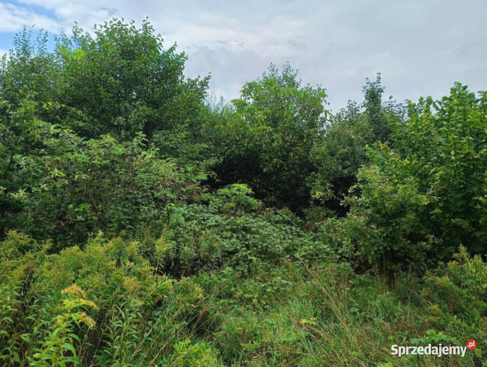 Nieruchomość gruntowa z zabudową Wierzchowiska Wierzchowiska Pierwsze