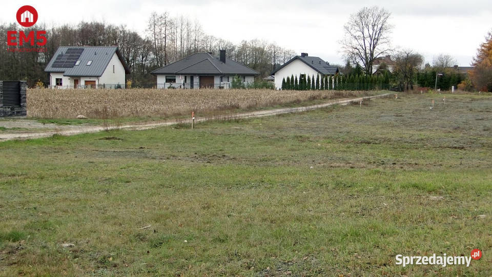 Do sprzedaży grunt 1000m2 Tołcze kanalizacja