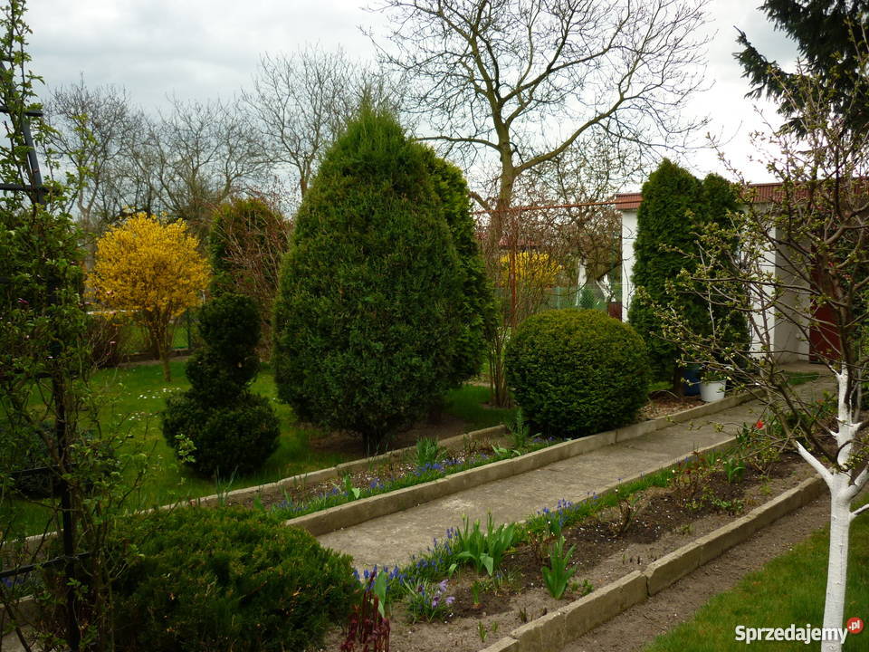 Ogródek działkowy 420m2 Leszno