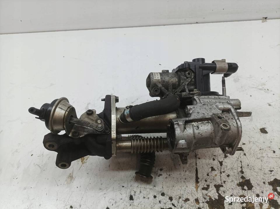 ZAWÓR EGR 147356133R 15 D DCI Dacia Dokker I świętokrzyskie