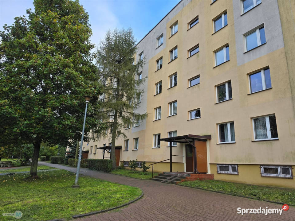 sprzedaży mieszkania Kielce 589m 3 pok sprzedam