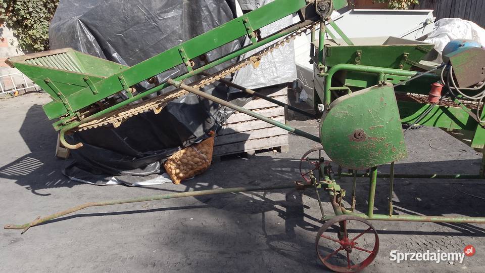 Sortownik do ziemniaków amazone wielkopolskie