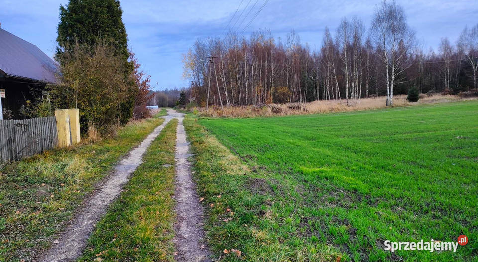 działka budowlana bugaj gmina Żytno powiat 31zł/m2
