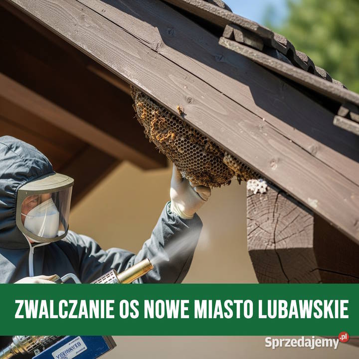 Zwalczanie Os Nowe Miasto Lubawskie Usuwanie