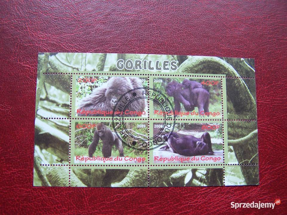 Kongo 2009 CTO Fauna Goryle Tychy