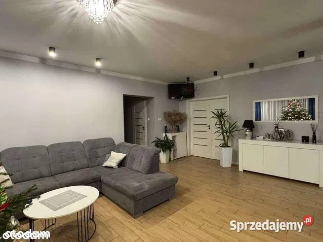 Dom jednorodzinny ze stawem na dużej działce Sprzedaż Skoki