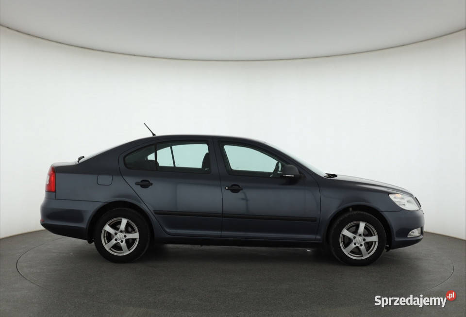 Skoda Octavia 19 TDI DPF Piaseczno