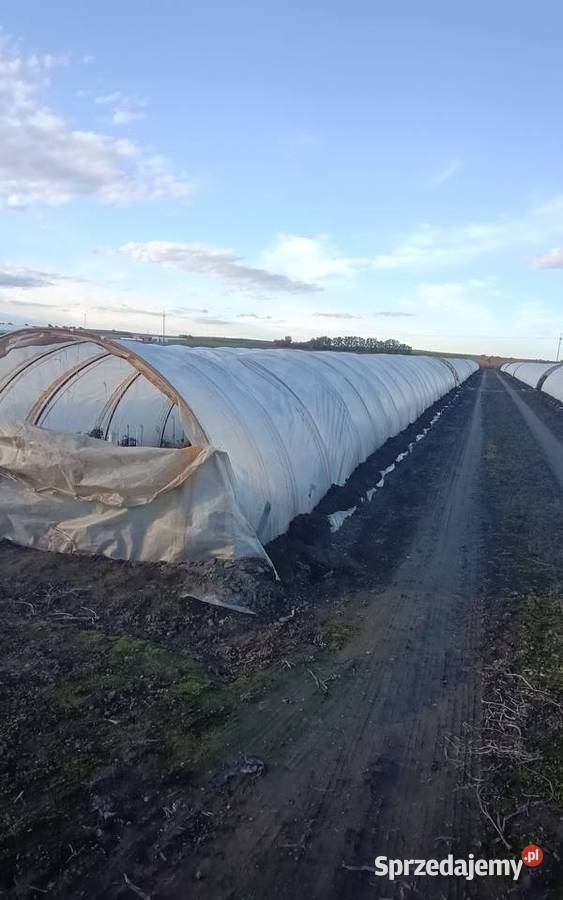 Tunel foliowy konstrukcje segmenty Wawrzeńczyce
