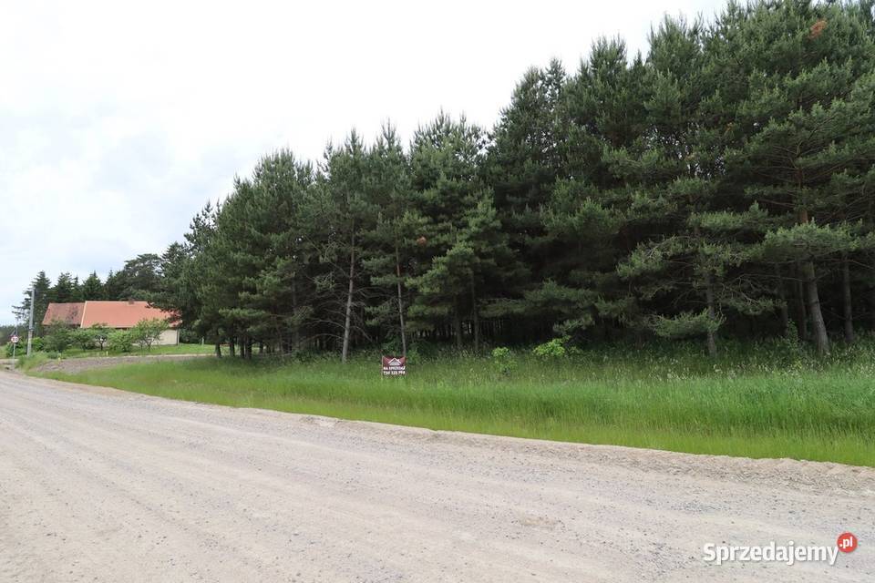 Działka o pow 5852 m2 drodze Via Baltica Sprzedaż Kalinowo
