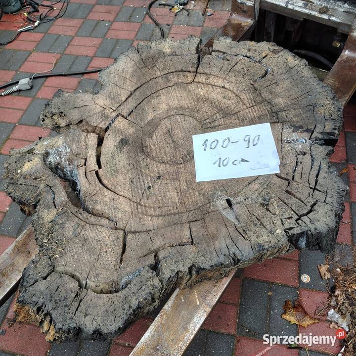 Plaster Czarny Dąb Nowy Tomyśl