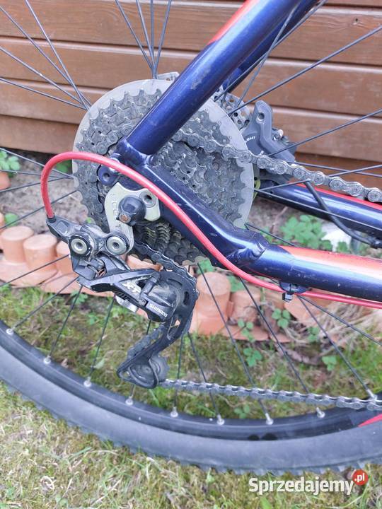 Scott Aspect 900 29 rama XL Olsztyn