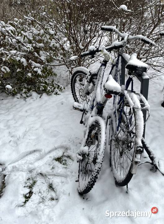 Sprzedam zabytkowe rowery Warszawa sprzedam