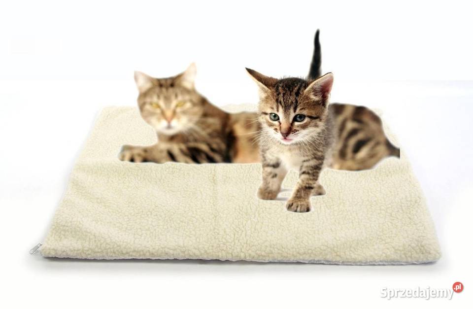 SAMOOGRZEWAJĄCA MATA DLA ZWIERZĄT, LEGOWISKO PET BED