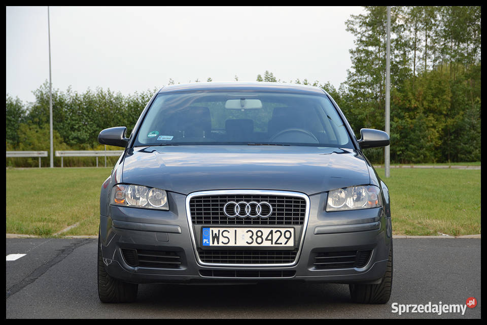 Audi A3 8P 19TDI Automat STRONIC ISOFIX Alufelgi welurowa tapicerka Siedlce