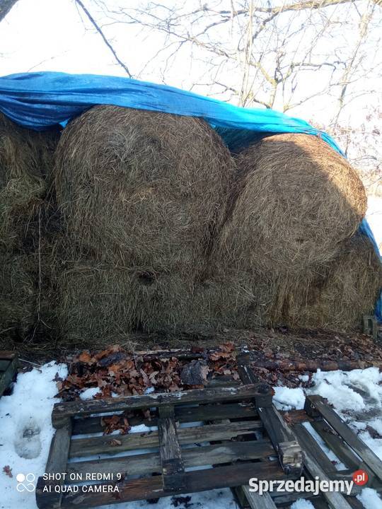 Słoma i siano pomorskie Sierakowice