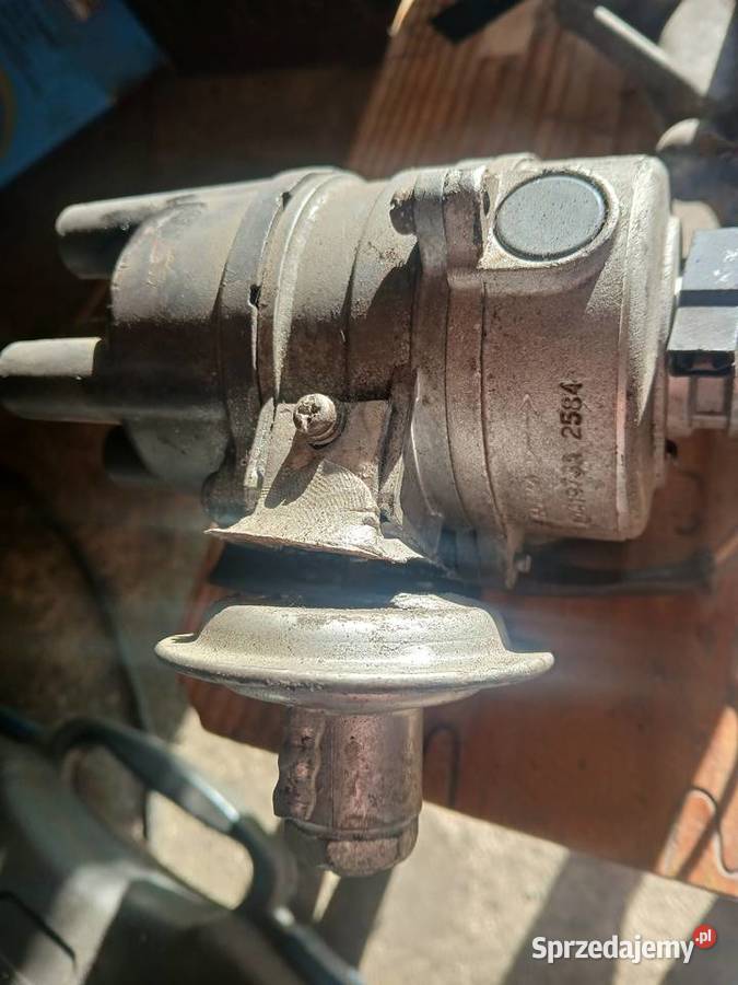 Mini moris 1000 osobowe świętokrzyskie Kielce