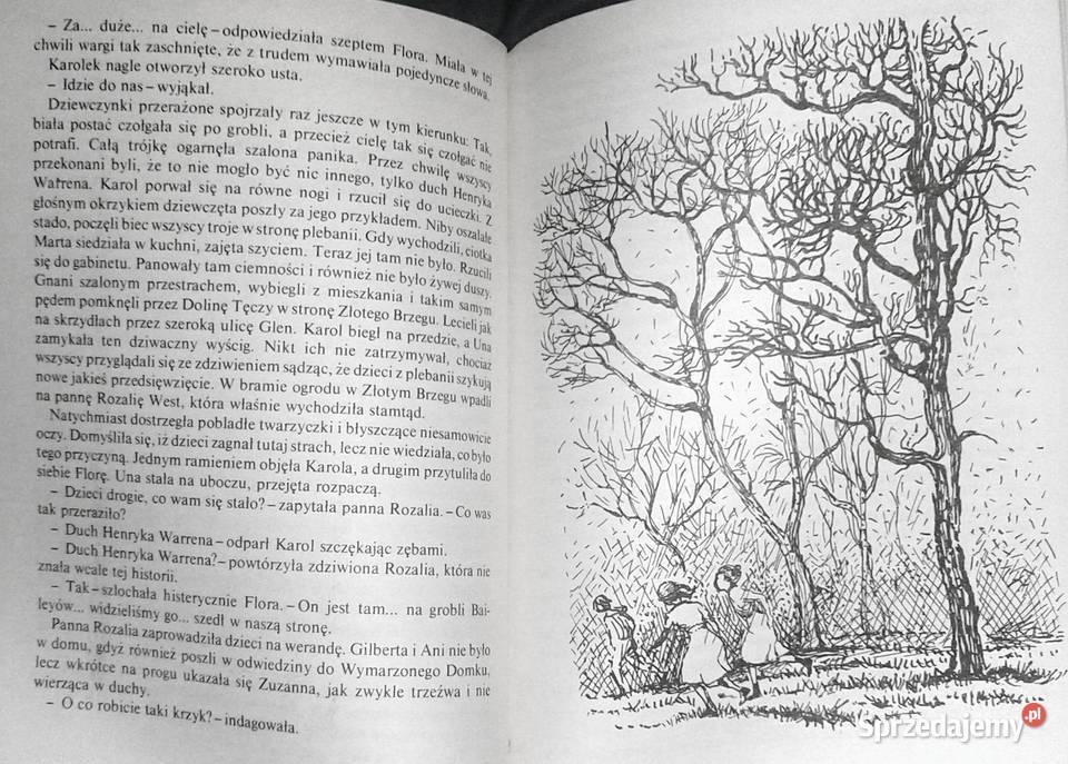 Dolina Tęczy Lucy Maud Montgomery Chełm