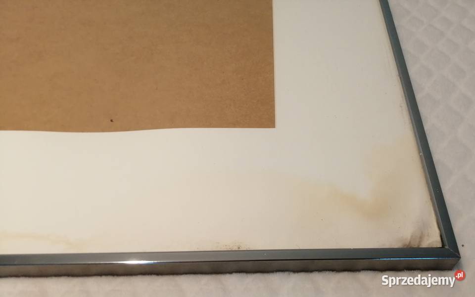 Rama Basic Stalowy 60x80 plexi 3815g Czeladź