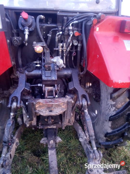 MTZ Belarus 9213 sadowniczy klima tur do sadu Kaplonosy sprzedam