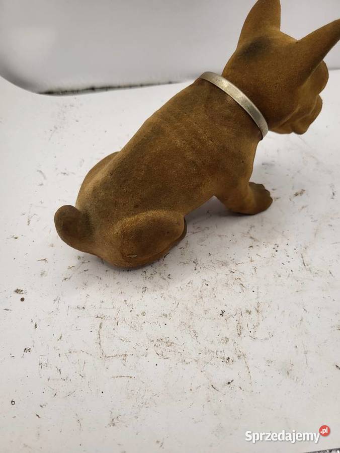 PIES BOXER PRL FIAT 125 126 MERCEDES VW GARBUS Rybnik