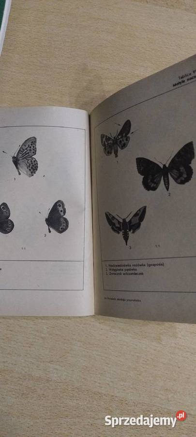 Poradnik młodego przyrodnika sprzedam