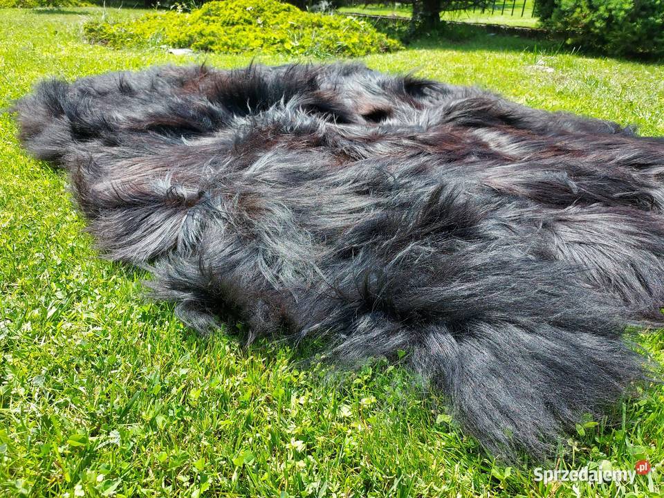 Skóry Owcze na Kanapę Czarne Skóry Naturalne Szaflary