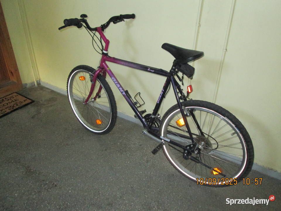 Giant Terrago Wrocław