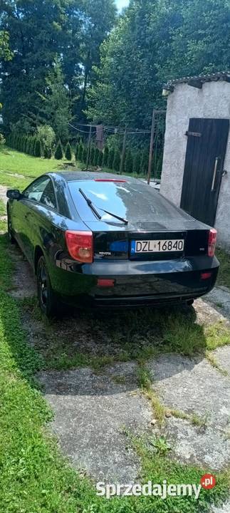 Do sprzedania czarna strzała