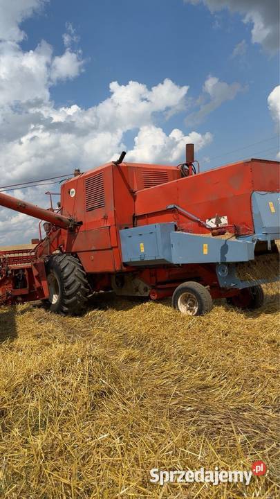 mam na sprzedaż bizona Z056 lubelskie