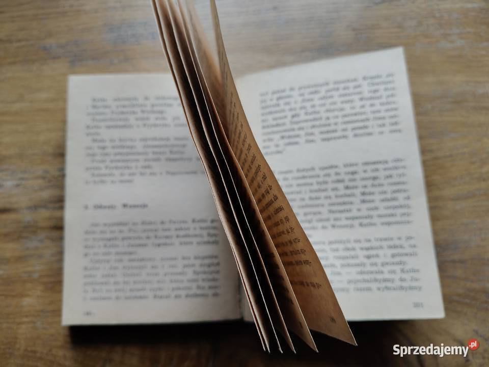 Jules i Jim Henri Pierre Roche sprzedam